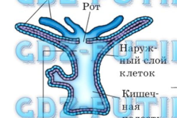 Kra44.cc