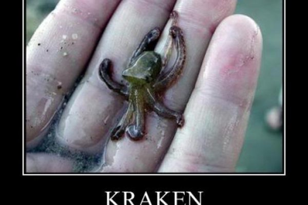 Кракен сайт вход kraken torion