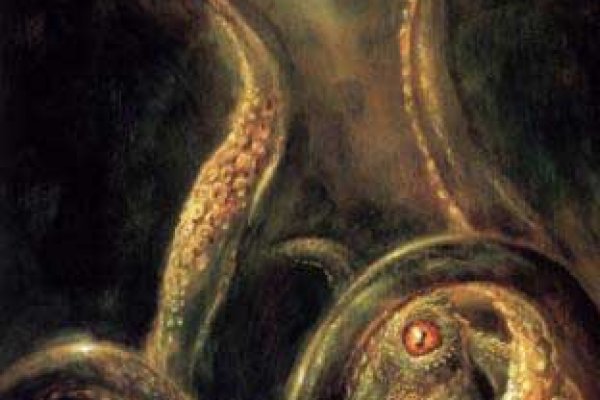 Kraken 12at