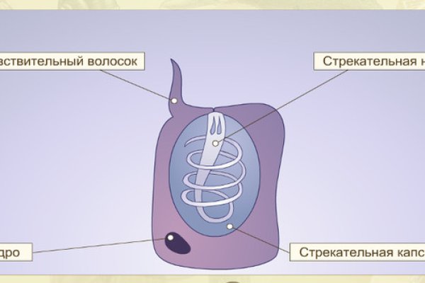 Кракен онион тор