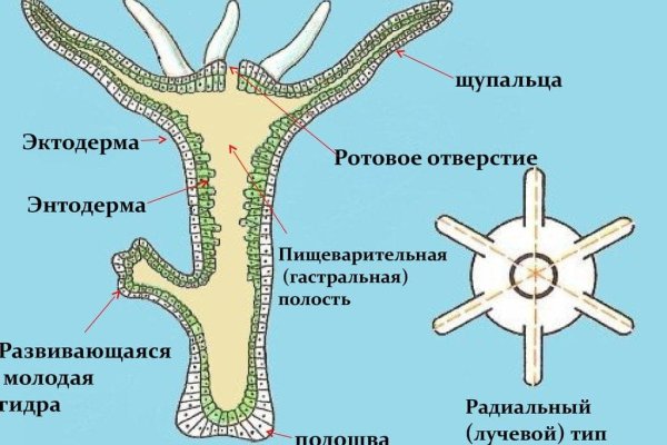 Кракен ссылка германия