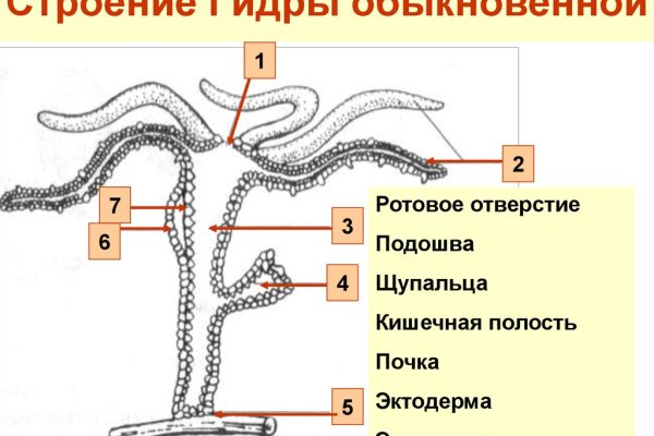 Кракен гидра даркнет