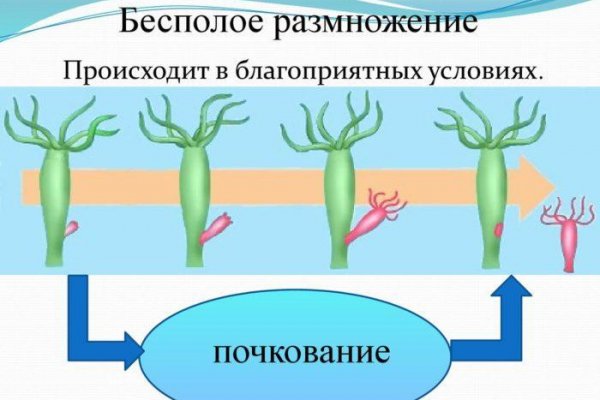 Кракен зеркало onion