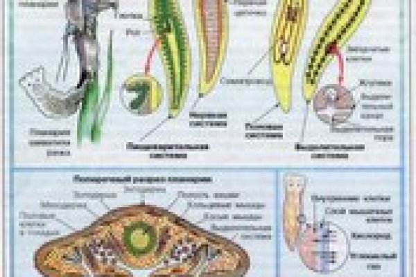 Кракен ссылка новая