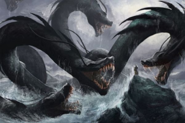 Kraken 12at