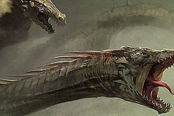 Kraken настоящая ссылка